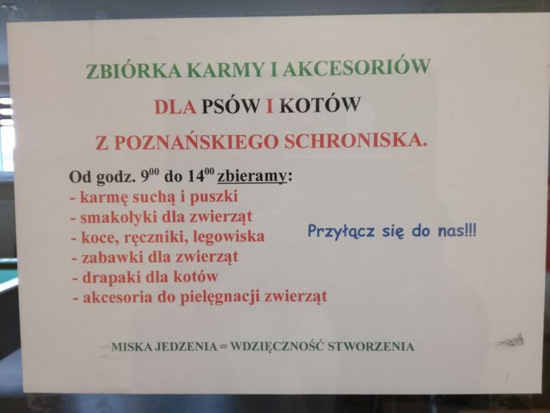 Zbirka ywnoci oraz akcesoriw dla psw i kotw